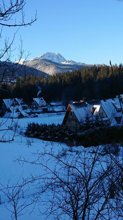 Hostel & Apartments U Florka 2 Zakopane Exterior foto